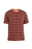 Mens Drayden SS Tee Stripe, Nightshade/Earth/S
